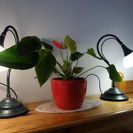 Bed & Breakfast Dworek Pod Swierkami Jelenia Góra